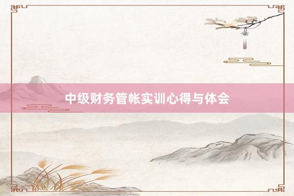 中级财务管帐实训心得与体会