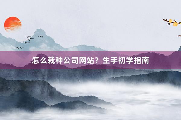 怎么栽种公司网站？生手初学指南